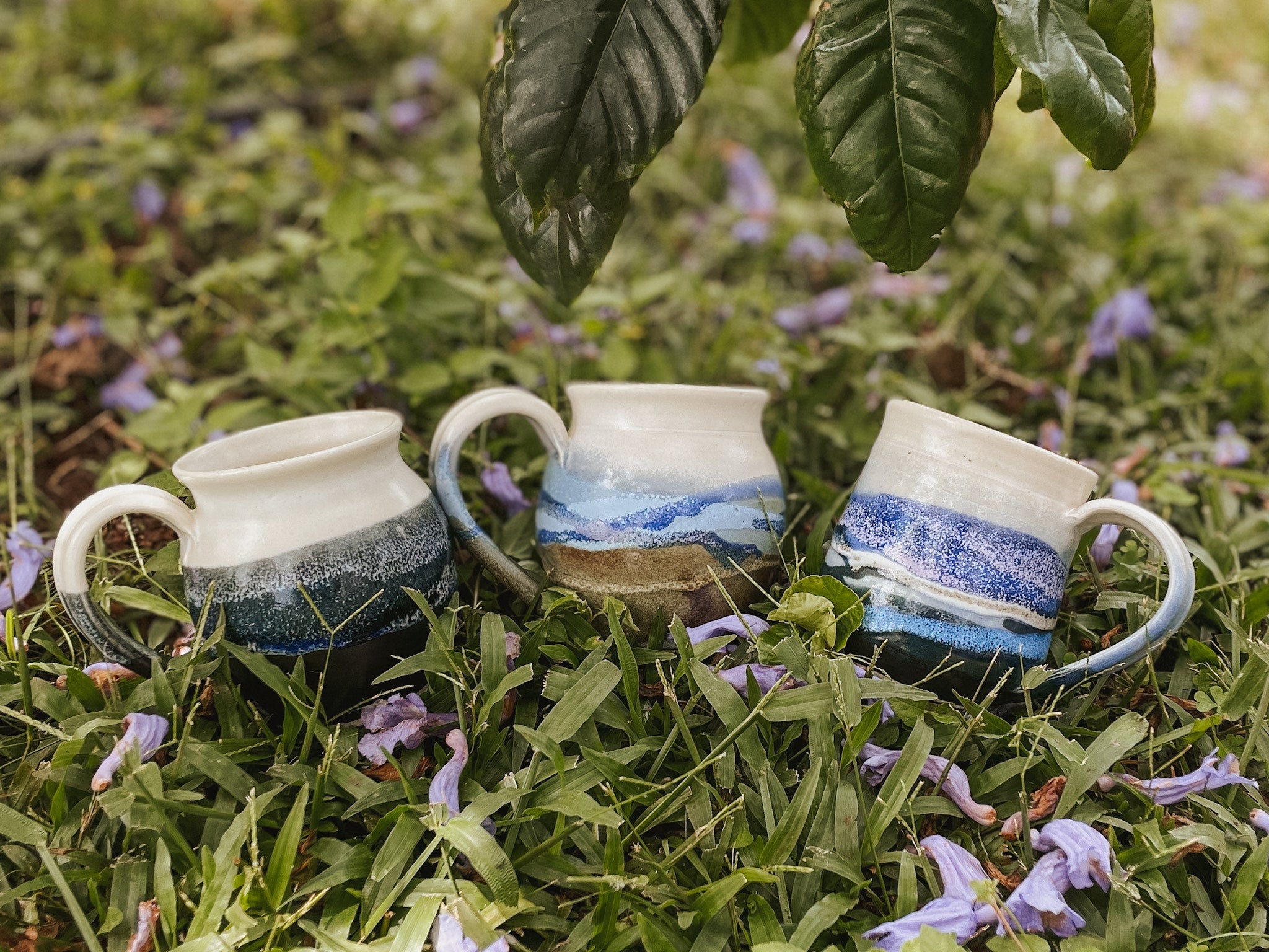 Jeff Chang Collection – Green World Coffee Farm