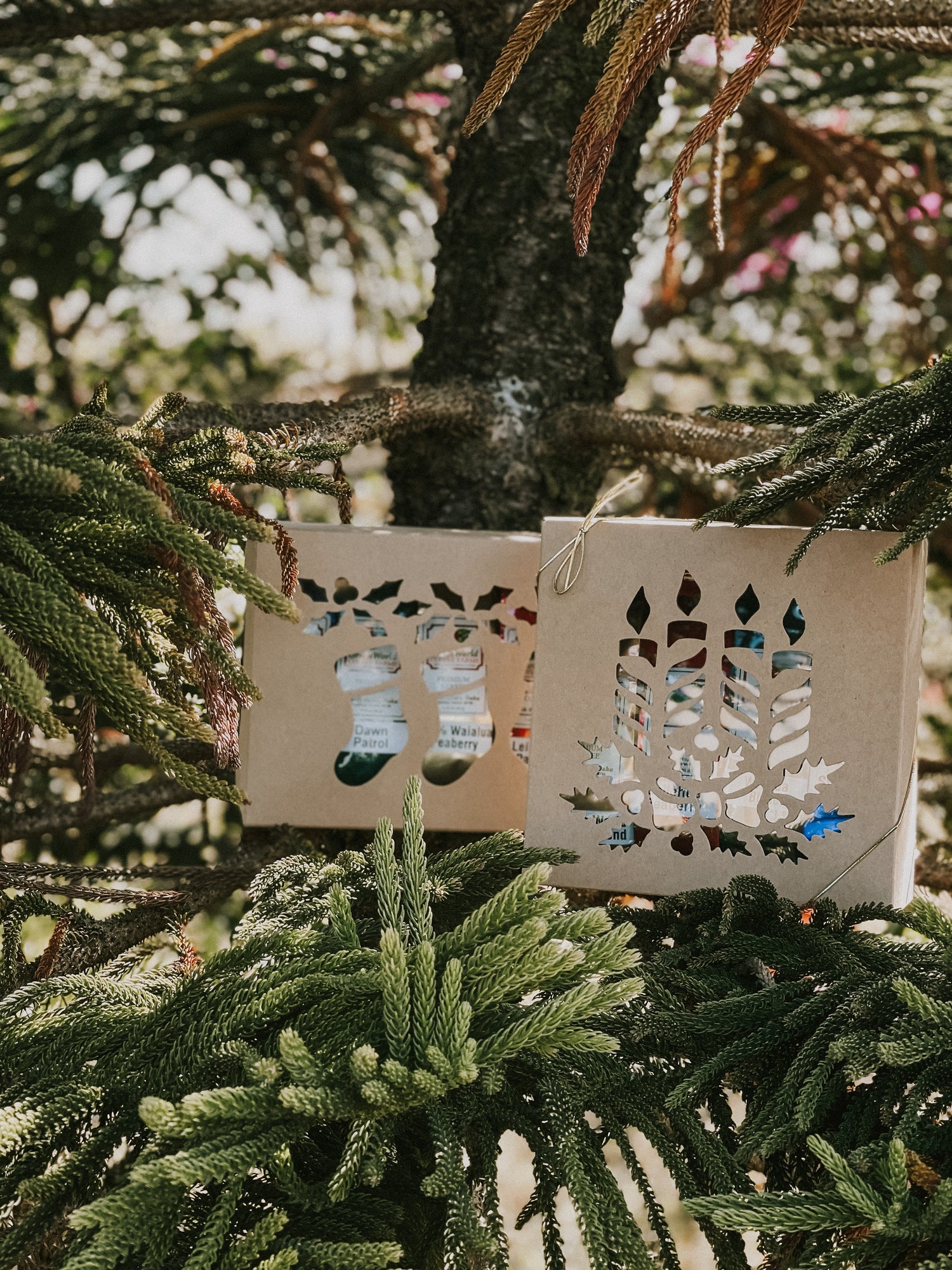 Gift Sets