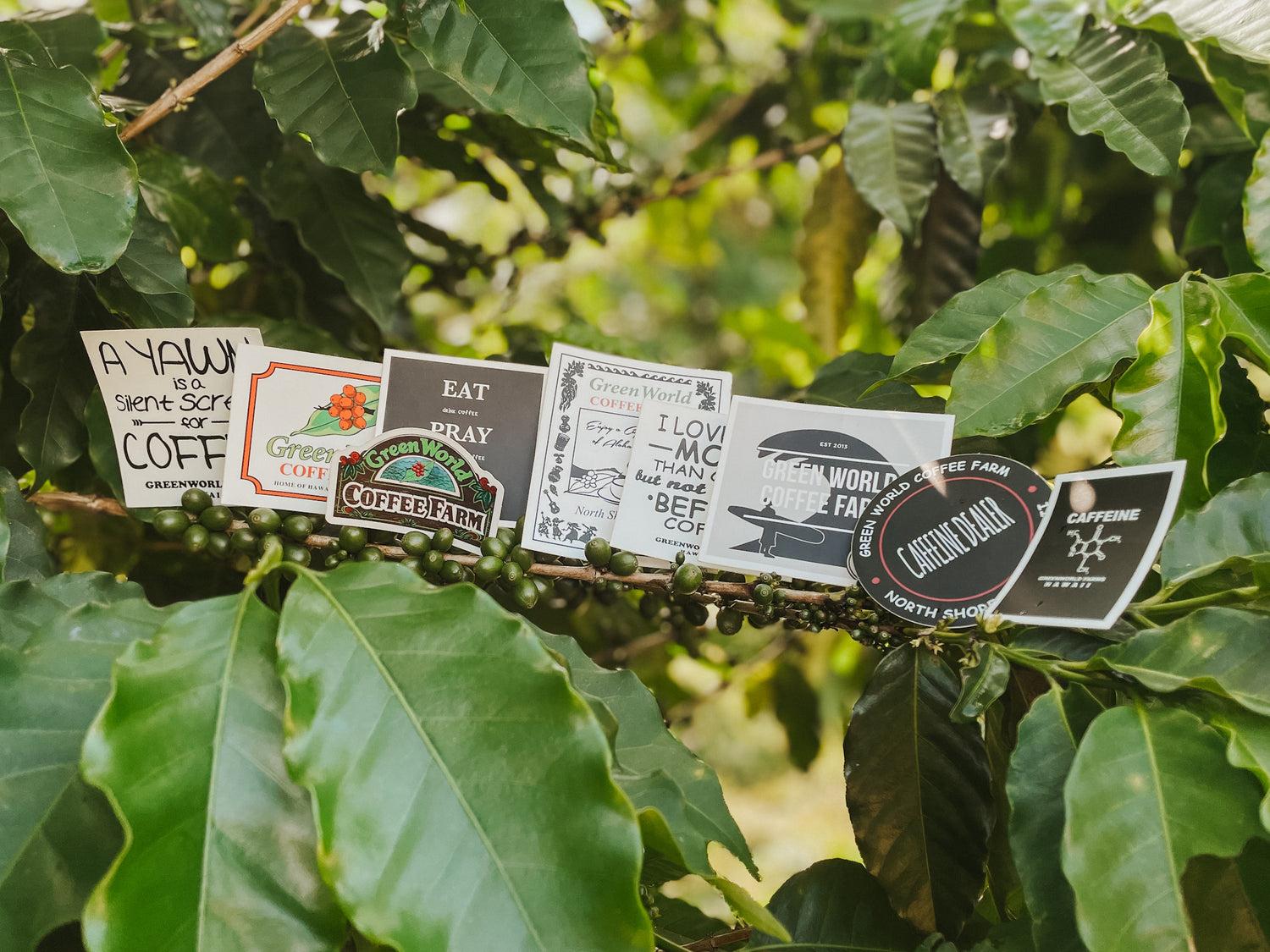 Stickers