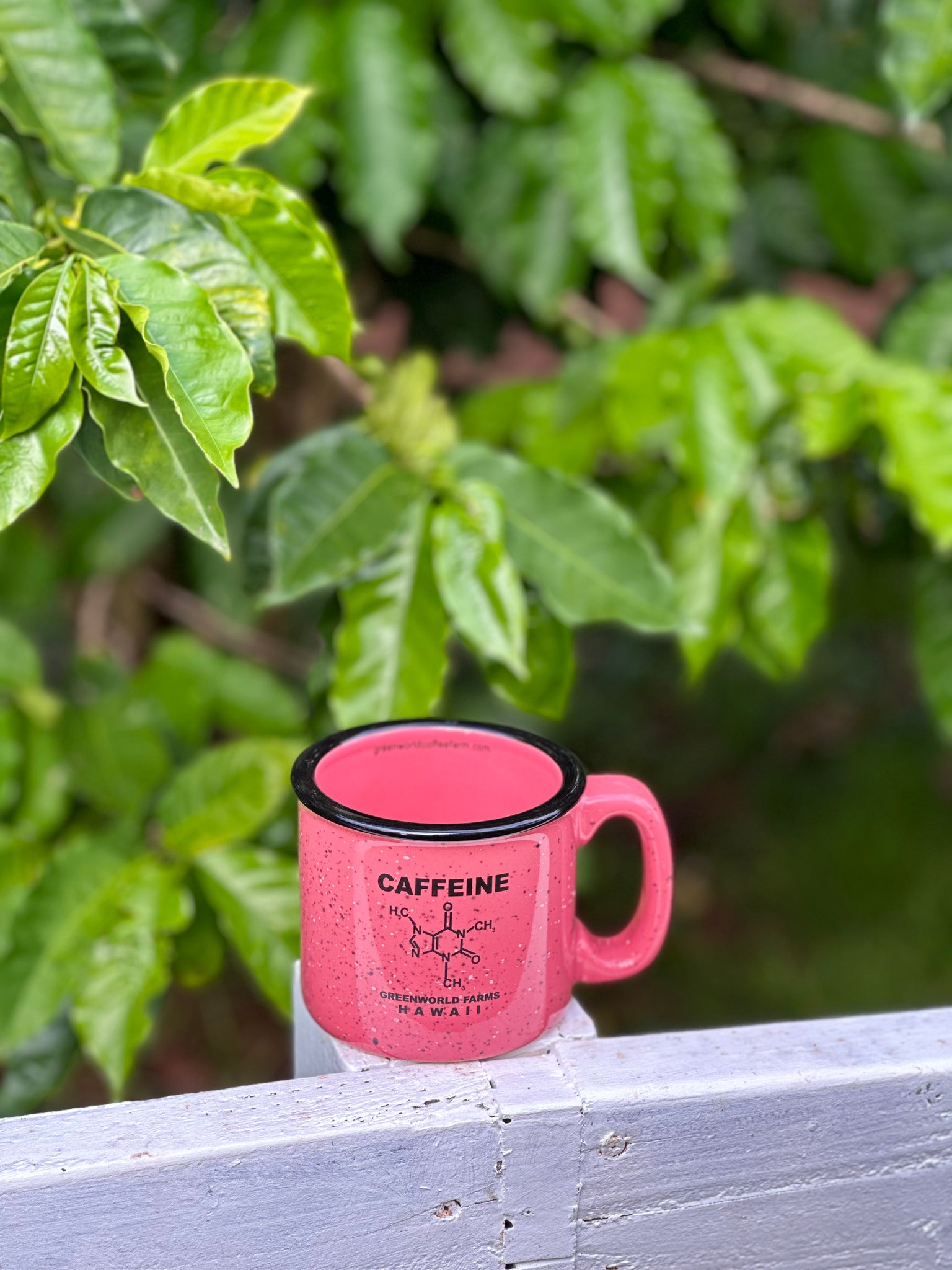 Ceramic Campfire Mug (2 Colors) — Stormcloud Brewing Company