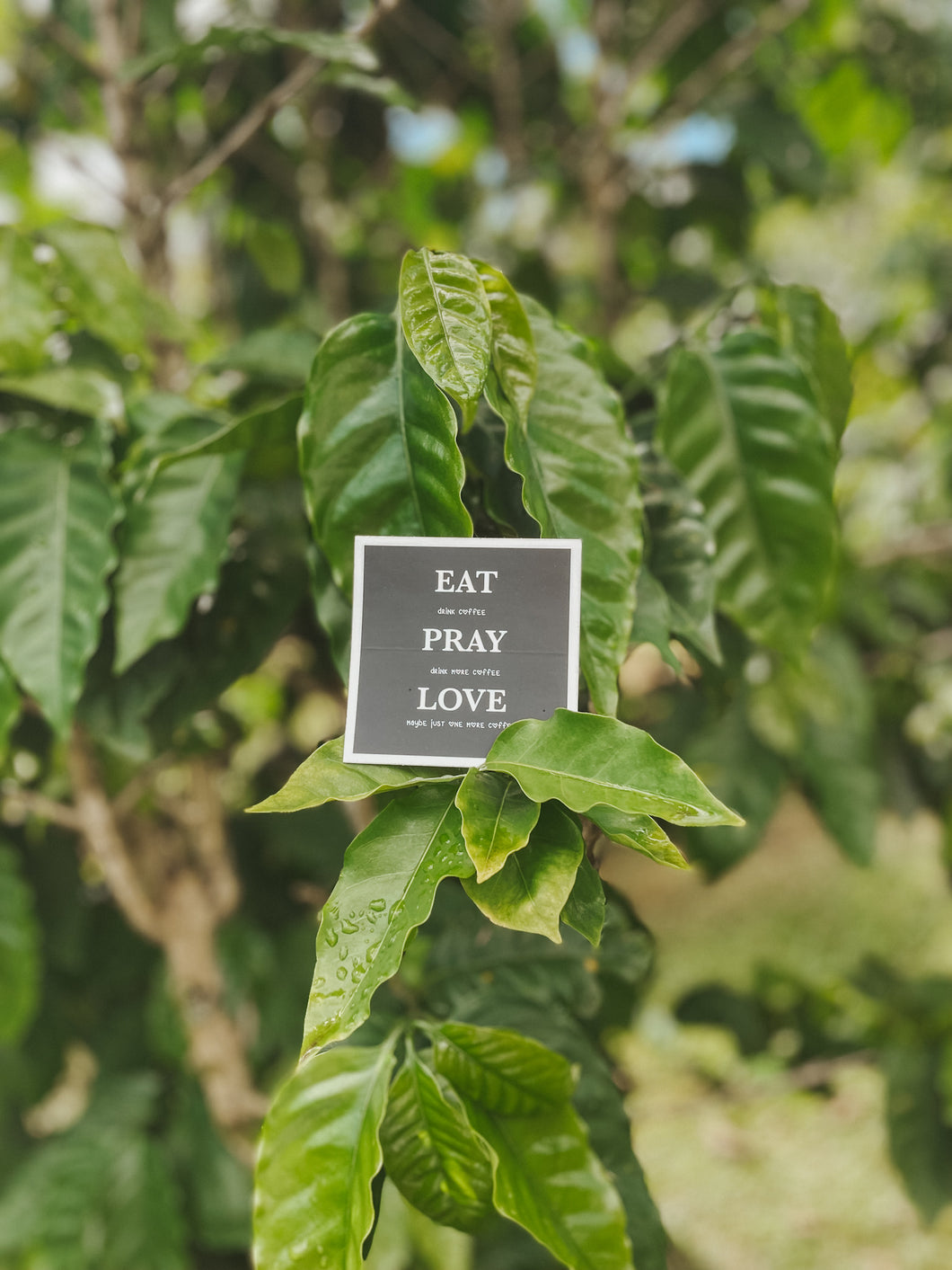 Eat Pray Love Logo Sticker