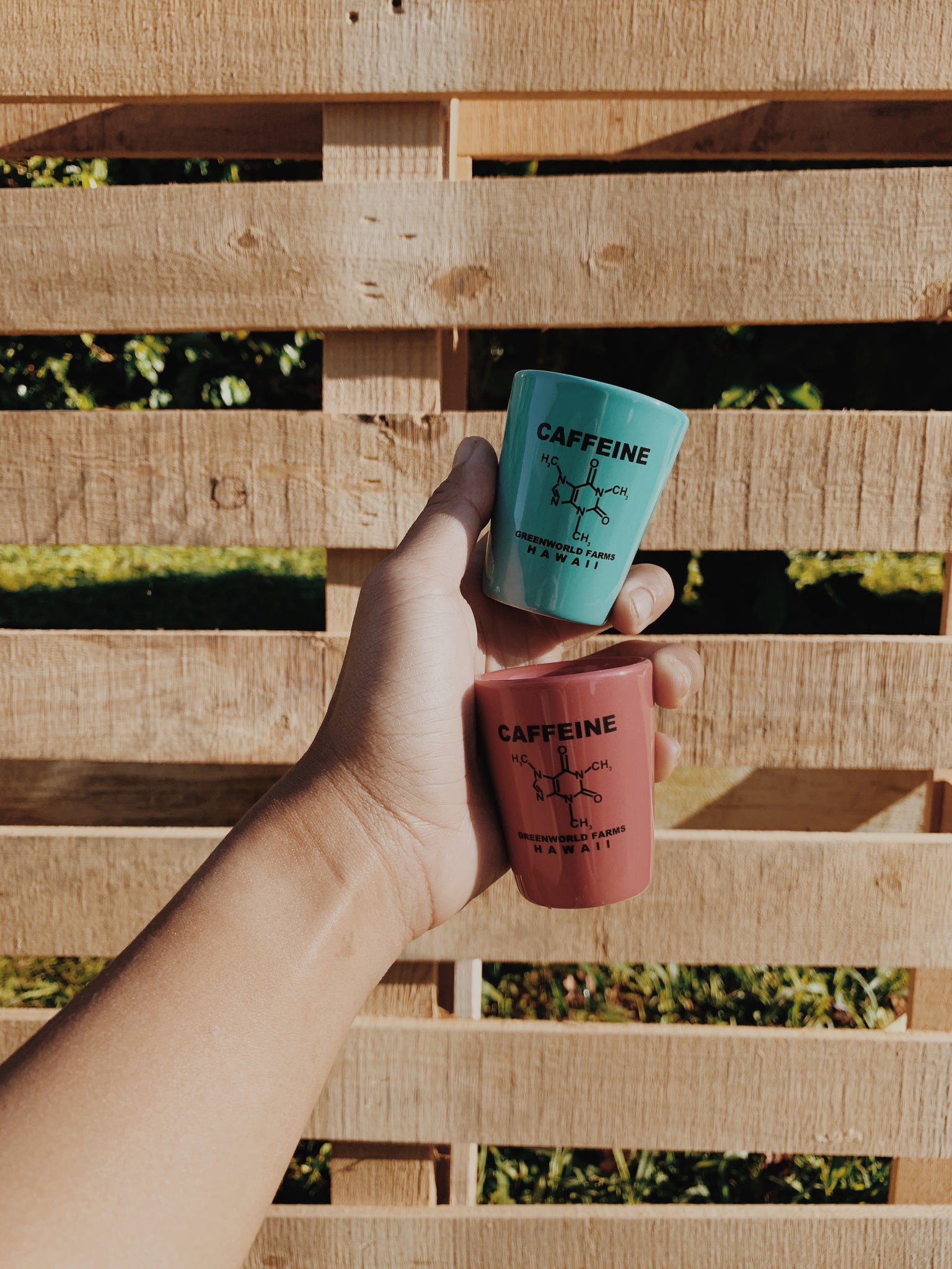 Molecule - Shot Glasses – Green World Coffee Farm