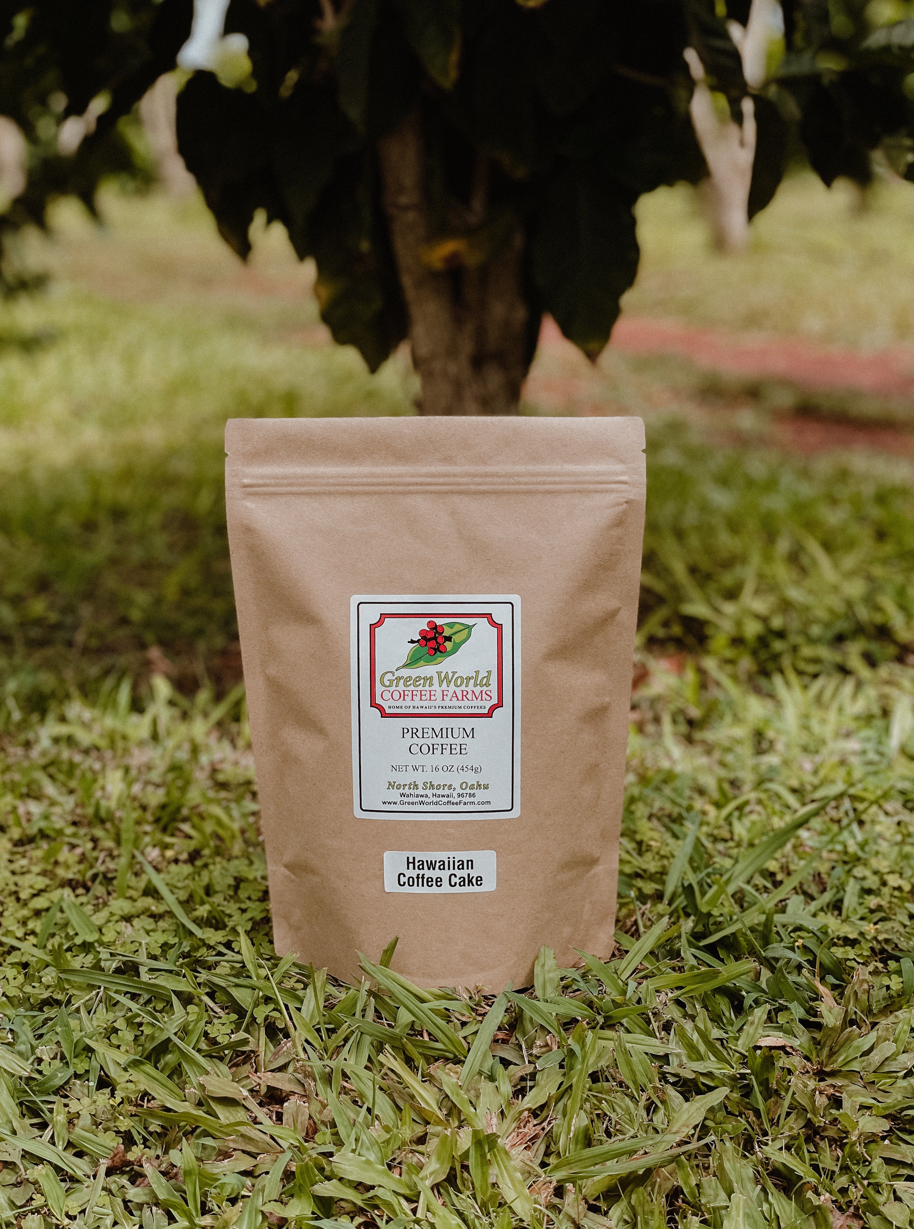 Pastel Caffeine Molecule Mugs – Green World Coffee Farm