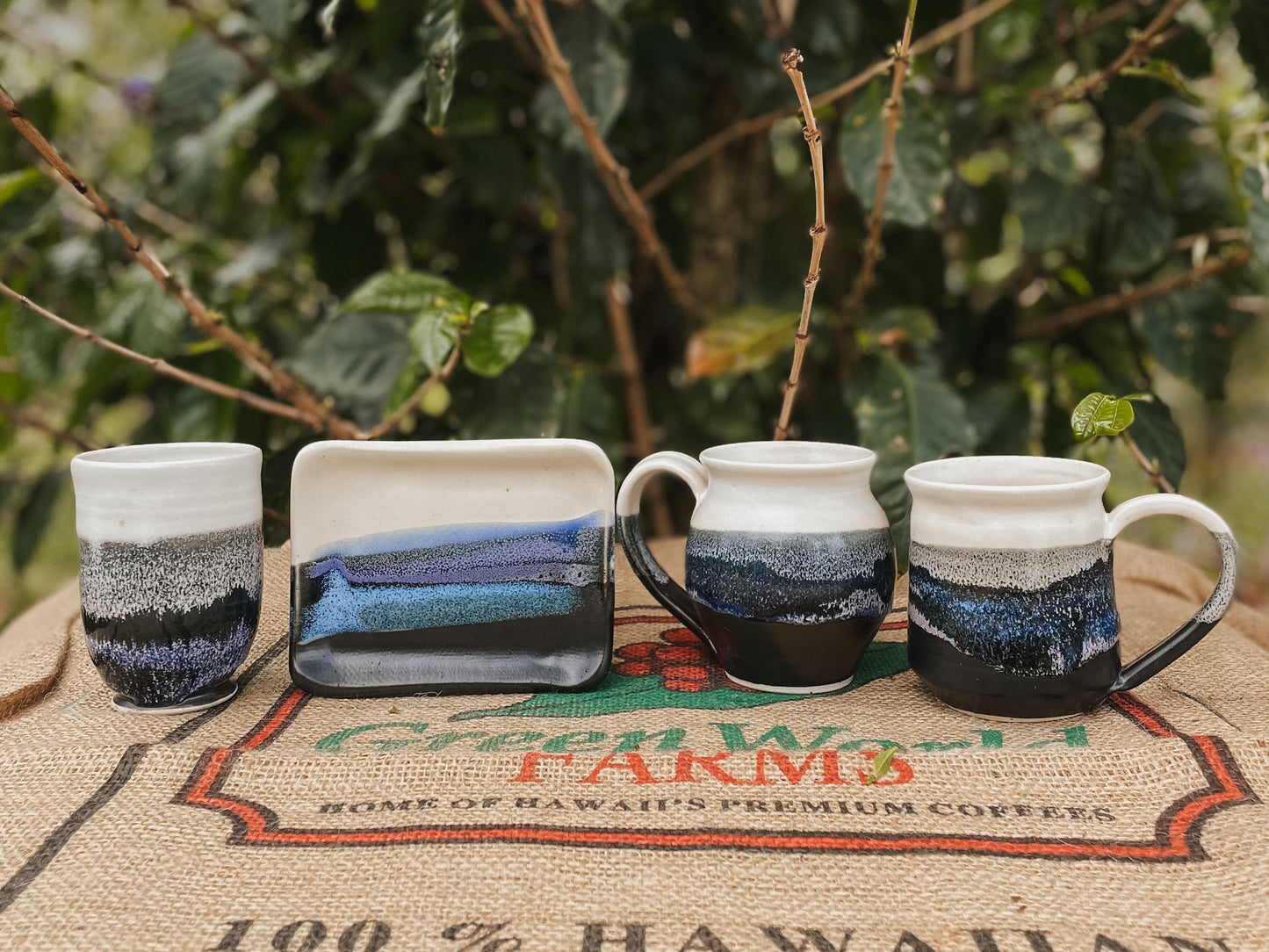 Starscape Collection