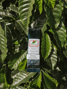 Sample Bags - Flavored