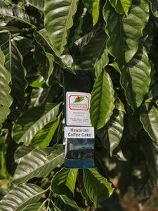 Sample Bags - Flavored