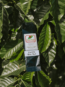 Sample Bags - Flavored
