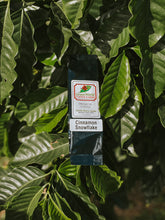 Load image into Gallery viewer, Sample Bags - Flavored